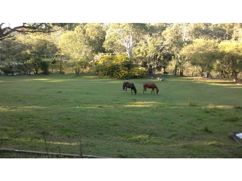 24 Mort Street, Shortland NSW 2307