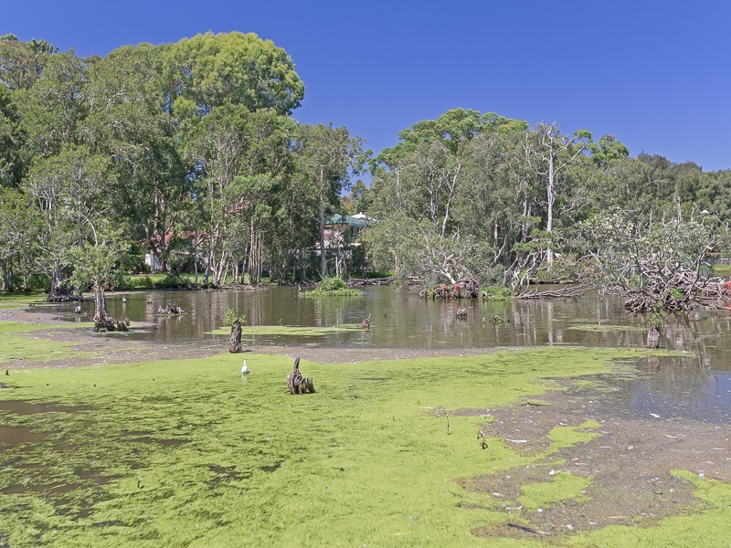 24 Mort Street, Shortland NSW 2307