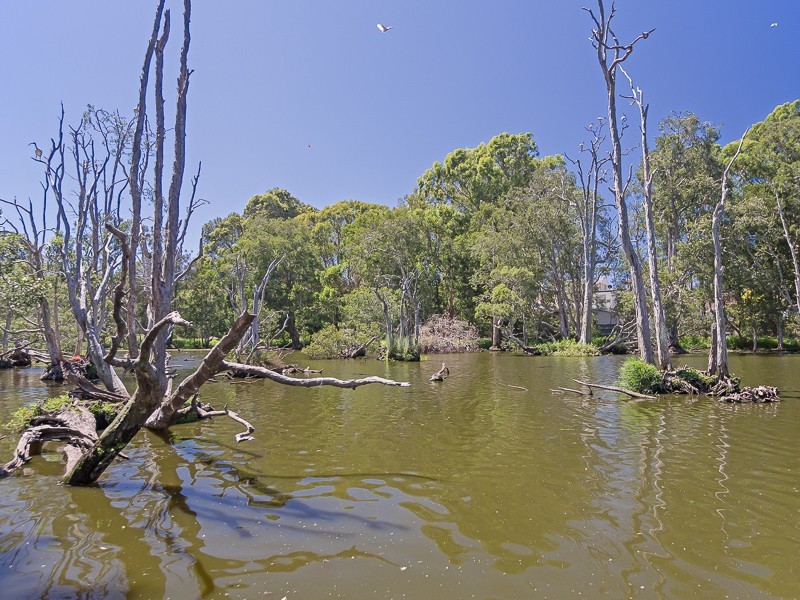 24 Mort Street, Shortland NSW 2307