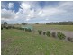 343 Cabbage Tree Rd, Williamtown NSW 2318