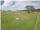 343 Cabbage Tree Rd, Williamtown NSW 2318