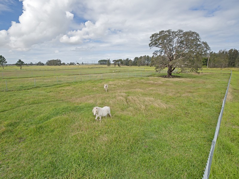 343 Cabbage Tree Rd, Williamtown NSW 2318