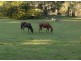 Shortland NSW 2307