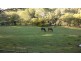 Shortland NSW 2307