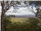 1652  Wollombi Road, Cedar Creek NSW 2325