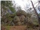 1652  Wollombi Road, Cedar Creek NSW 2325