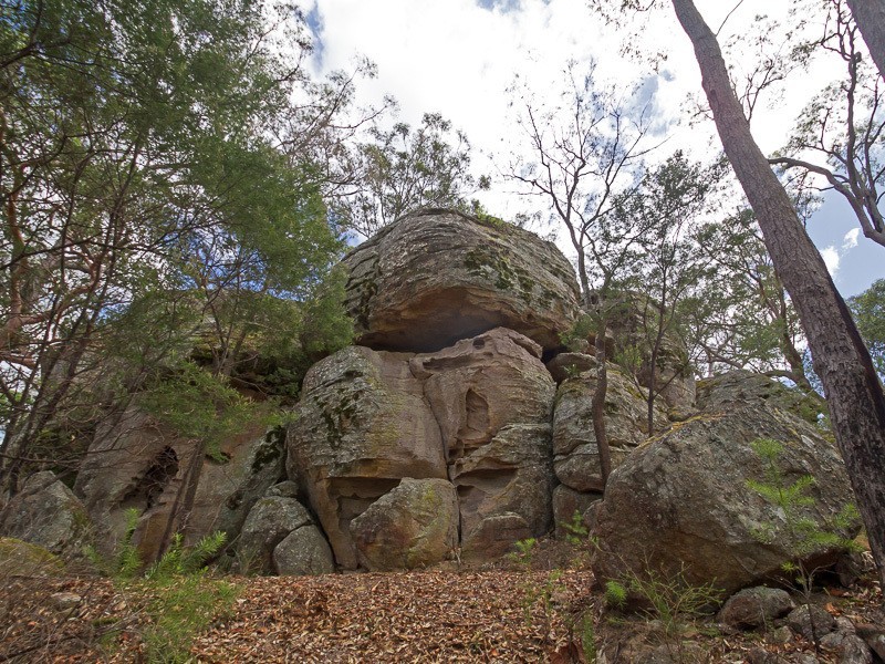 1652  Wollombi Road, Cedar Creek NSW 2325