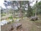 1652  Wollombi Road, Cedar Creek NSW 2325