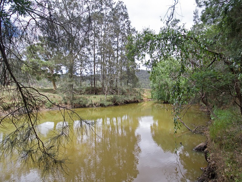 1652  Wollombi Road, Cedar Creek NSW 2325