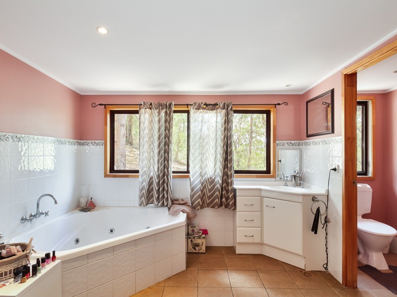 1652  Wollombi Road, Cedar Creek NSW 2325