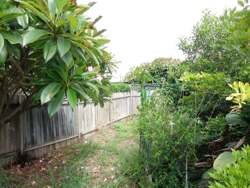 132 Bruce Street, Cooks Hill NSW 2300