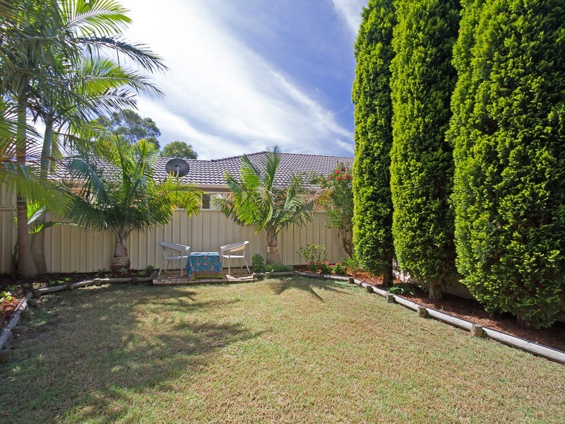 12 Corina Ave, Bolwarra Heights NSW 2320