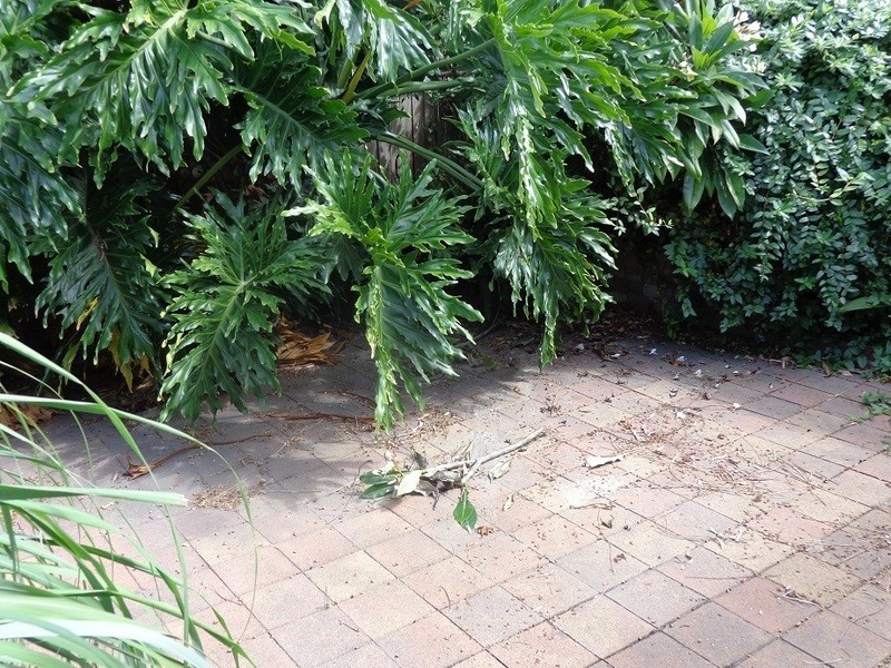 68 Howden Street, Carrington NSW 2294