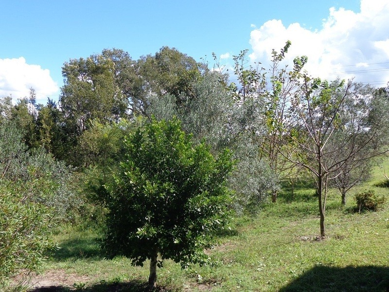 78 Fullerton Cove Road, Fullerton Cove NSW 2318