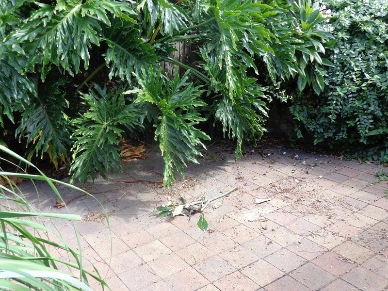 68 Howden Street, Carrington NSW 2294