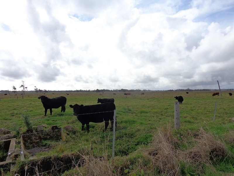 14 Lavis Lane, Williamtown NSW 2318