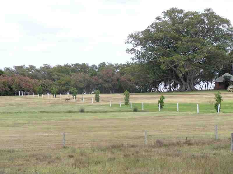 69 Fullerton Cove Road, Fullerton Cove NSW 2318