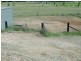 69 Fullerton Cove Road, Fullerton Cove NSW 2318