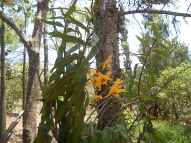 4034 Onyx Street, Mount Garnet QLD 4872