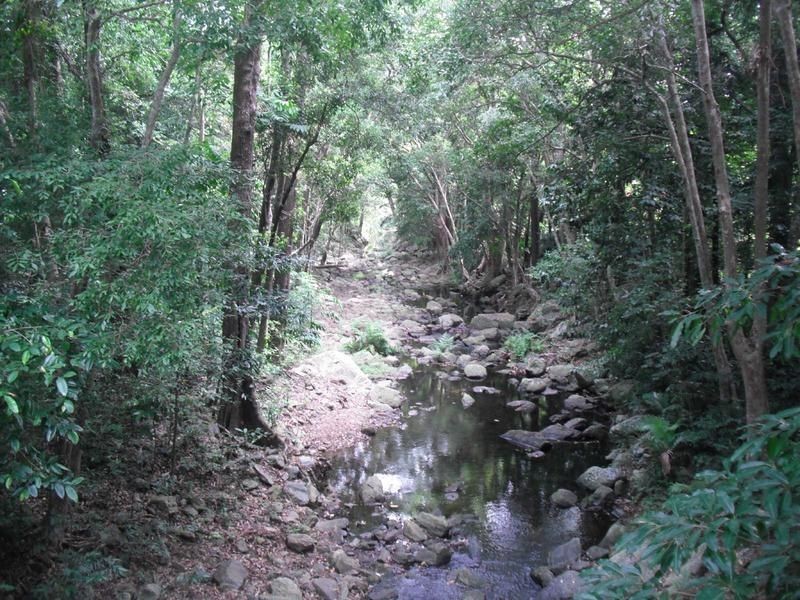 11 Red Bluff Crescent, Kamerunga QLD 4870