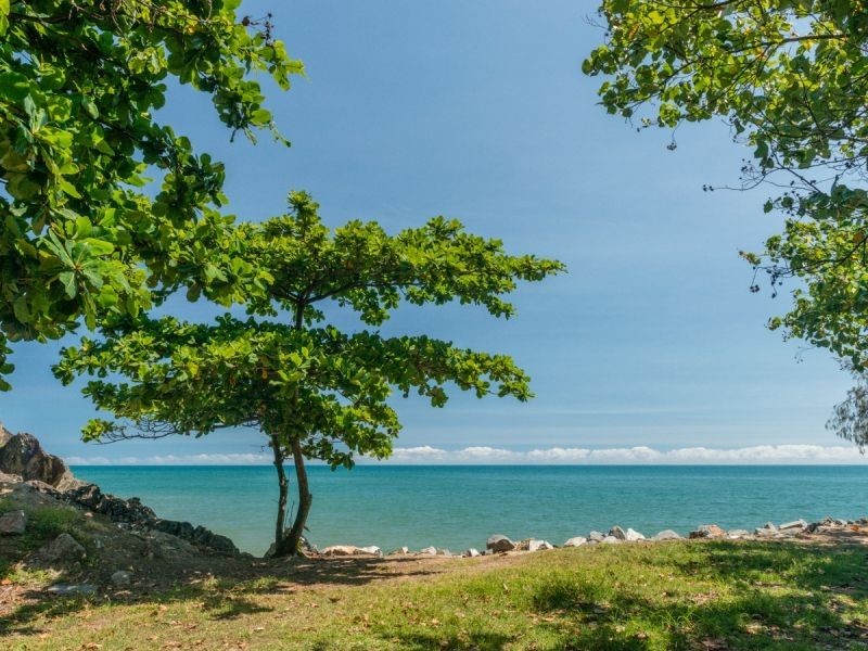 1/31-33 Sims Esplanade, Yorkeys Knob QLD 4878