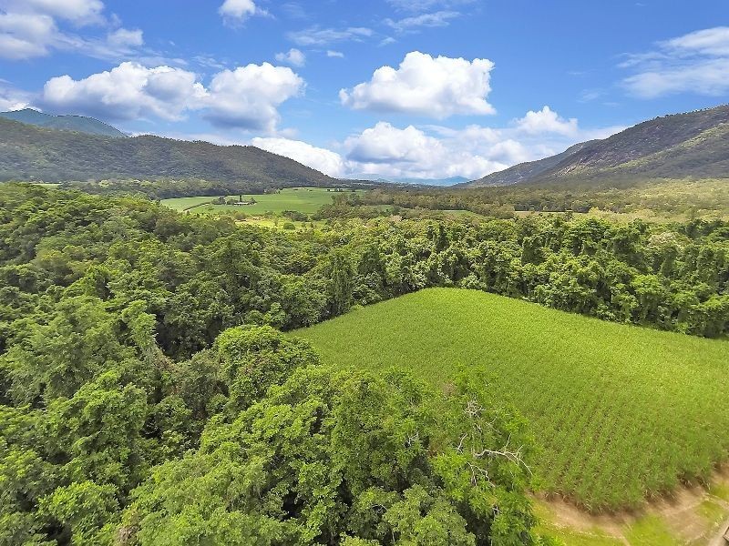 99 Goldsborough Road, Goldsborough QLD 4865