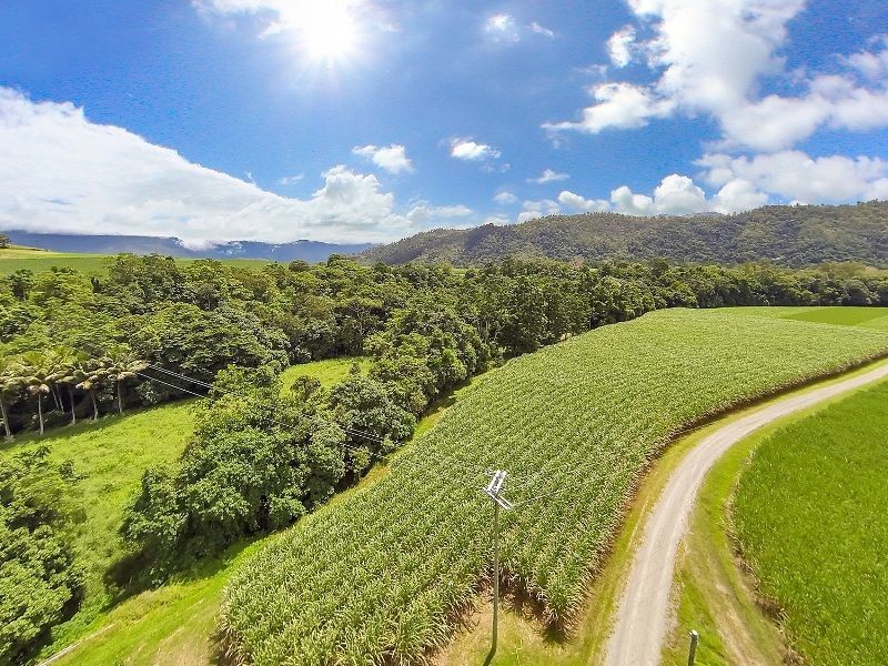 99 Goldsborough Road, Goldsborough QLD 4865