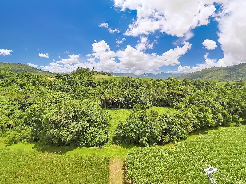 99 Goldsborough Road, Goldsborough QLD 4865