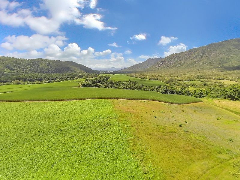 99 Goldsborough Road, Goldsborough QLD 4865