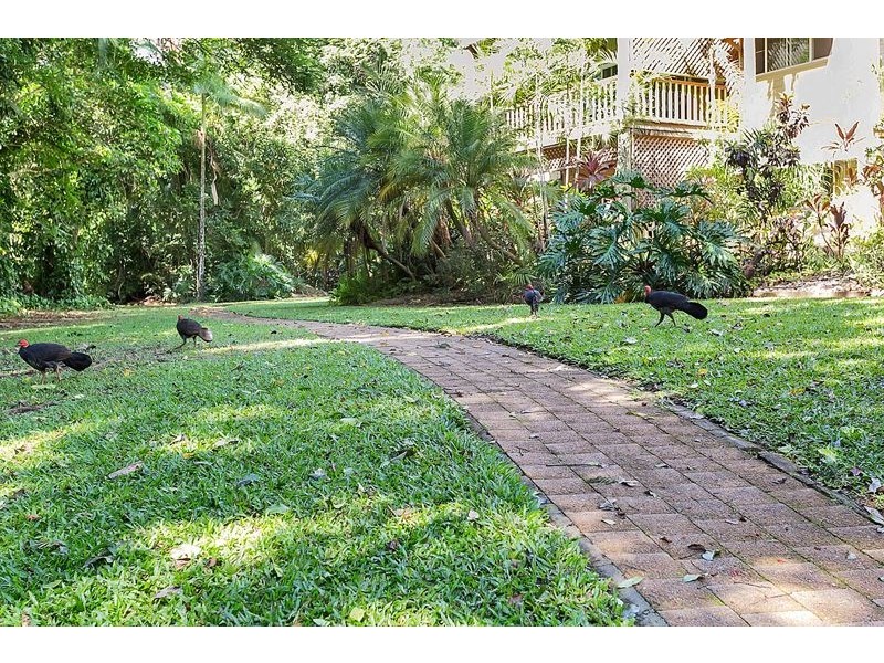 6/132 Stoney Creek Road, Kamerunga QLD 4870