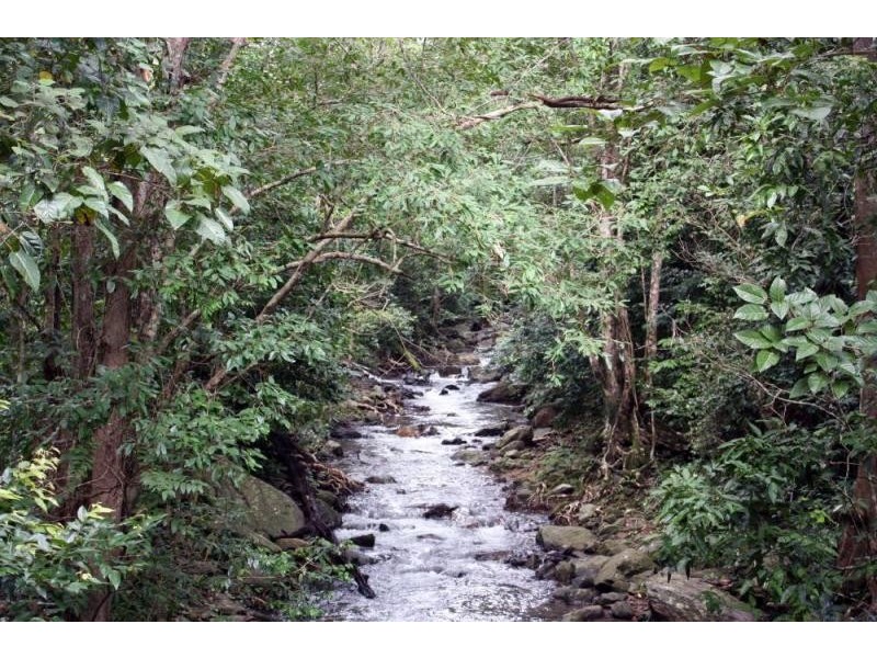 Douglas Track Road, Kamerunga QLD 4870