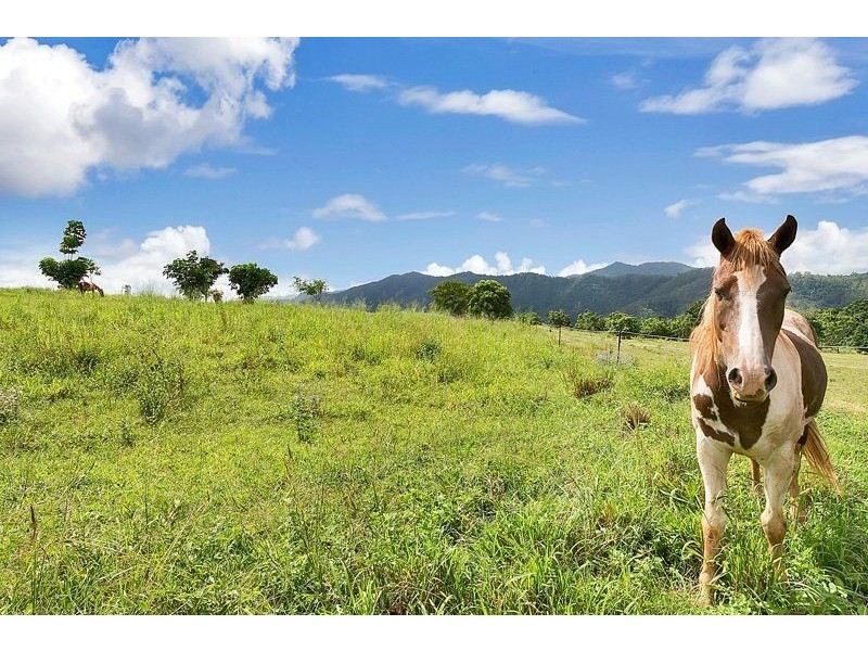 99 Goldsborough Road, Goldsborough QLD 4865