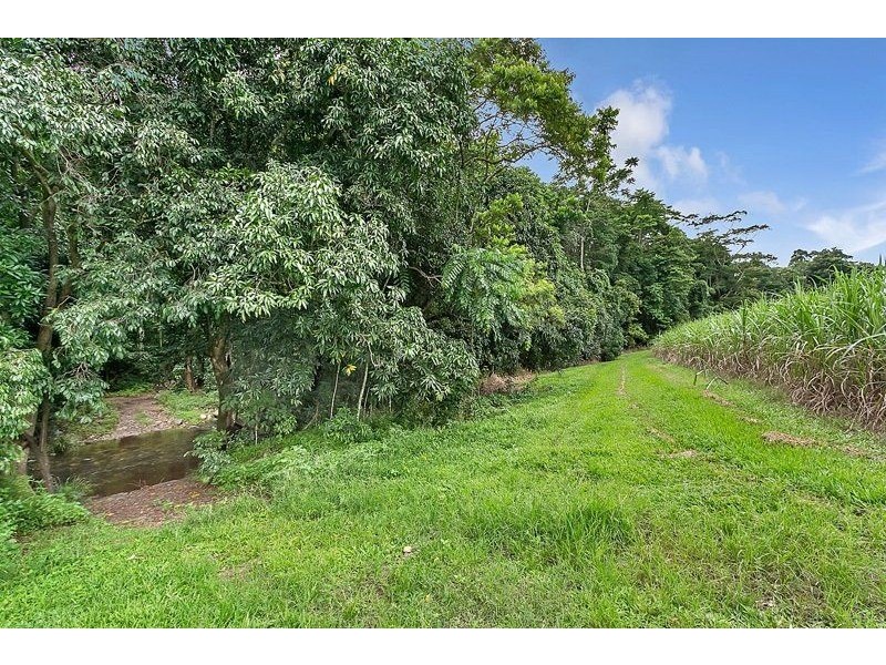 99 Goldsborough Road, Goldsborough QLD 4865