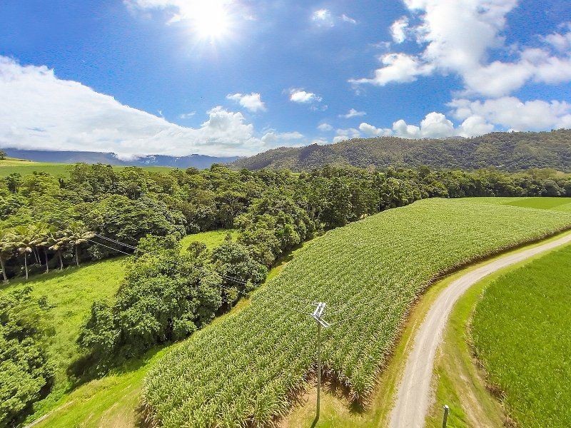 99 Goldsborough Road, Goldsborough QLD 4865