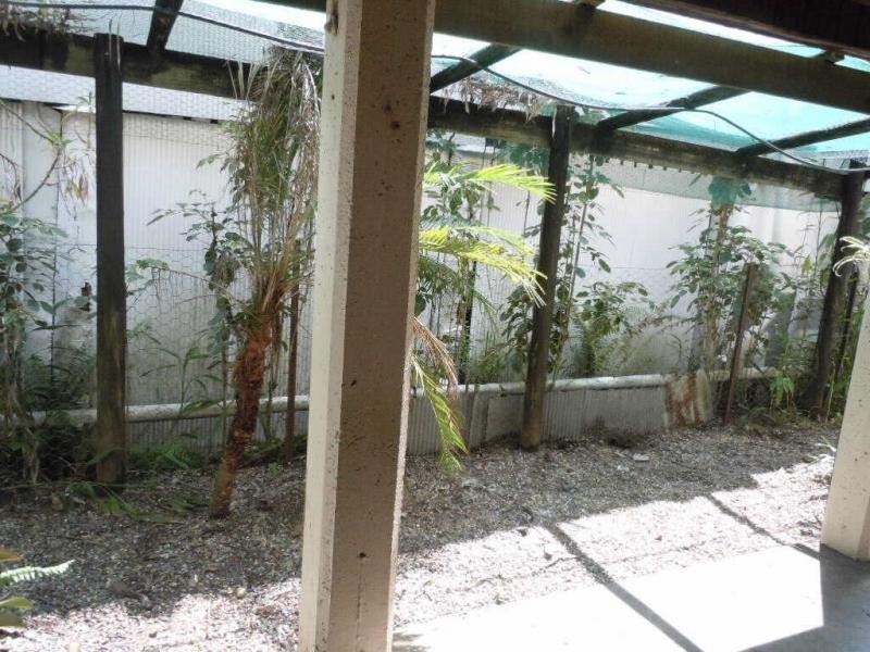 74 Gatton Street Parramatta Park, Cairns QLD 4870