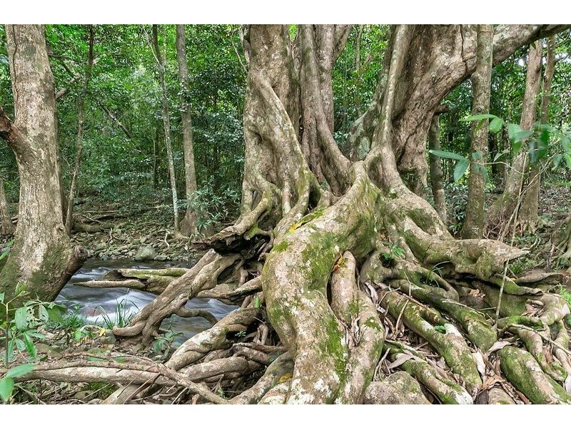 99 Goldsborough Road, Goldsborough QLD 4865