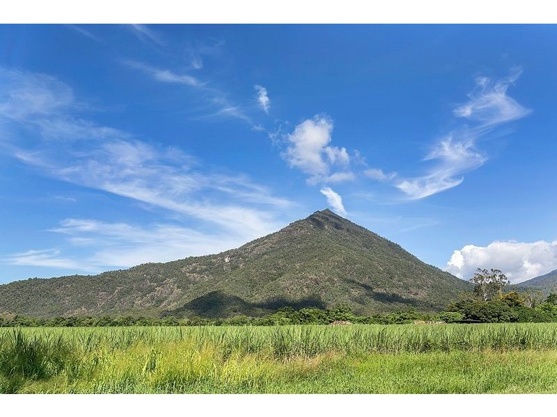 99 Goldsborough Road, Goldsborough QLD 4865