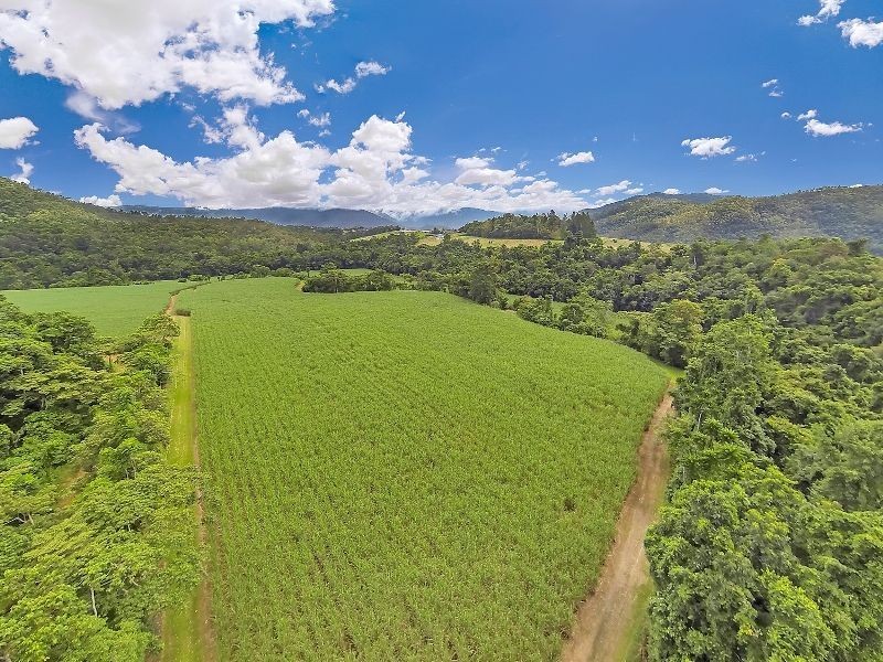 99 Goldsborough Road, Goldsborough QLD 4865