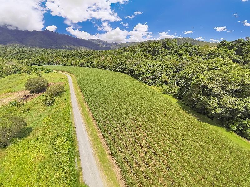 99 Goldsborough Road, Goldsborough QLD 4865