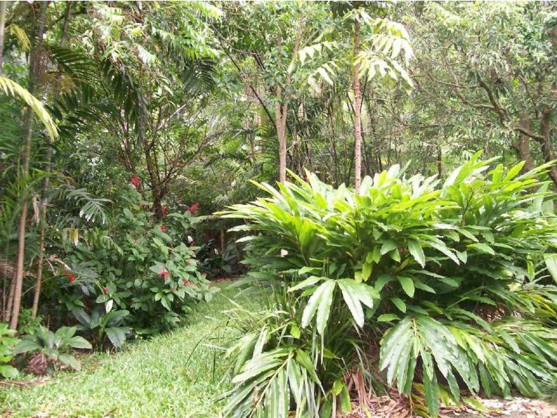 86 Walsh Street, Edge Hill QLD 4870