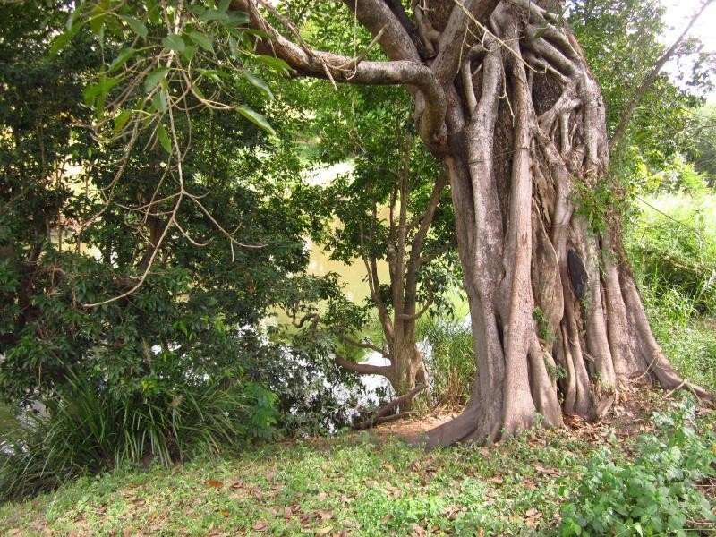 Lot 34 Waterview Place, Mareeba QLD 4880