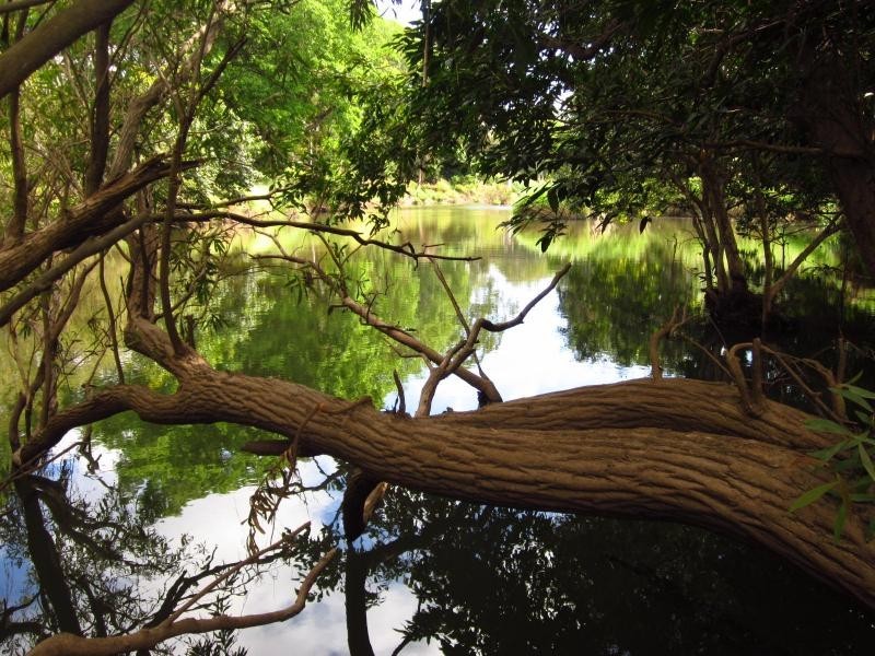 Lot 34 Waterview Place, Mareeba QLD 4880