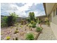 182 Timberlea Drive, Bentley Park QLD 4869