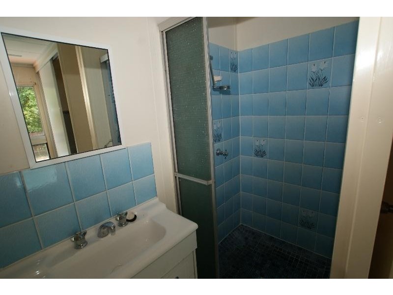 209 Jensen Street, Whitfield QLD 4870