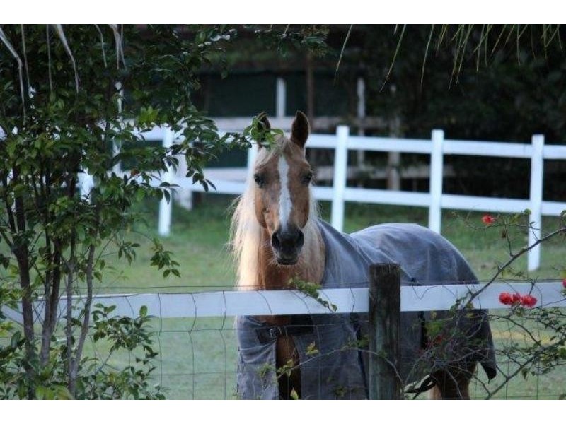 1 Petricola St, Clifton Beach QLD 4879