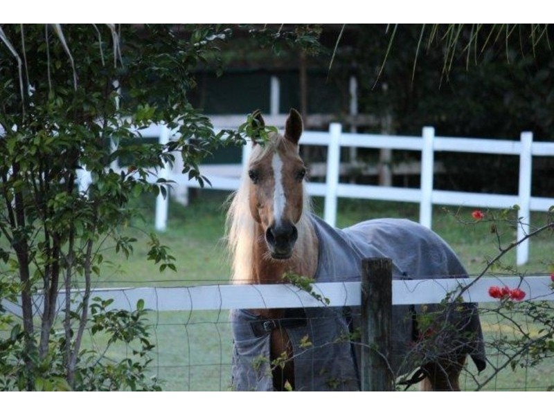 21-23 Stevens Street, Clifton Beach QLD 4879