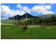 13 Sascha Close, Redlynch QLD 4870