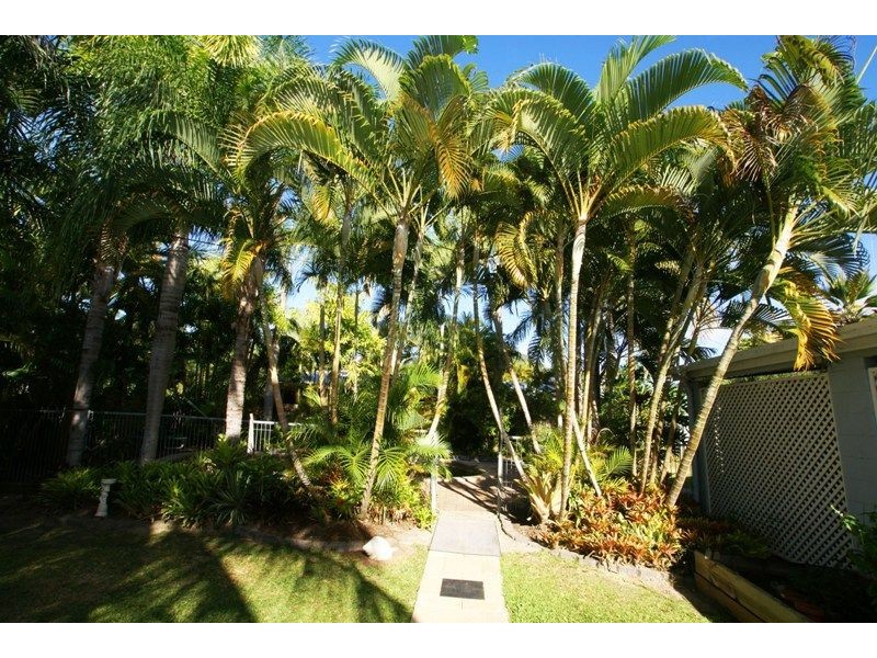 56 Periwinkle Avenue, Trinity Beach QLD 4879