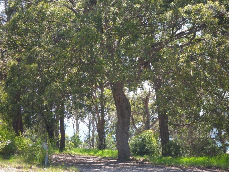 Lot 181 Lakeview Avenue, Merimbula NSW 2548