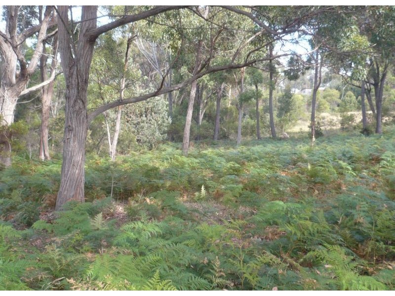 Lot 211C Pacific Way, Tura Beach NSW 2548